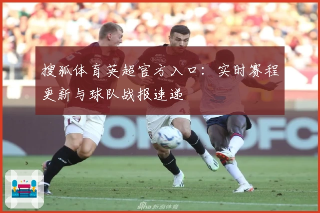 搜狐体育英超官方入口：实时赛程更新与球队战报速递