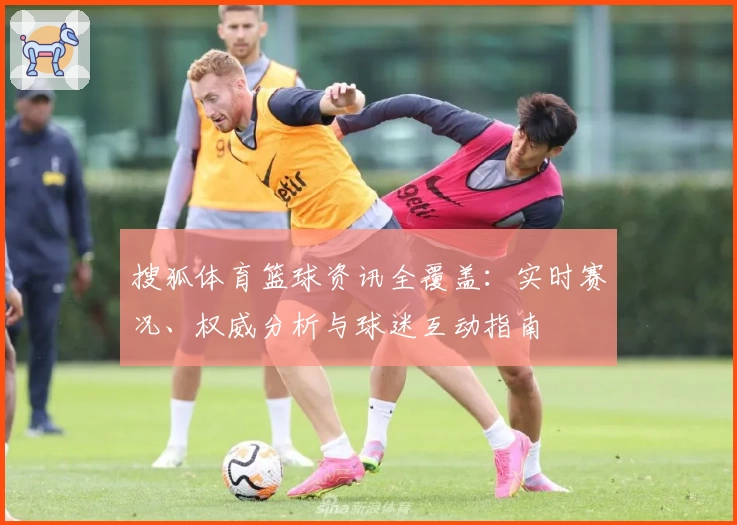 搜狐体育篮球资讯全覆盖:实时赛况、权威分析与球迷互动指南