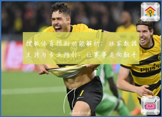 搜狐体育预测功能解析：独家数据支持与专业指引，让赛事走向触手可及