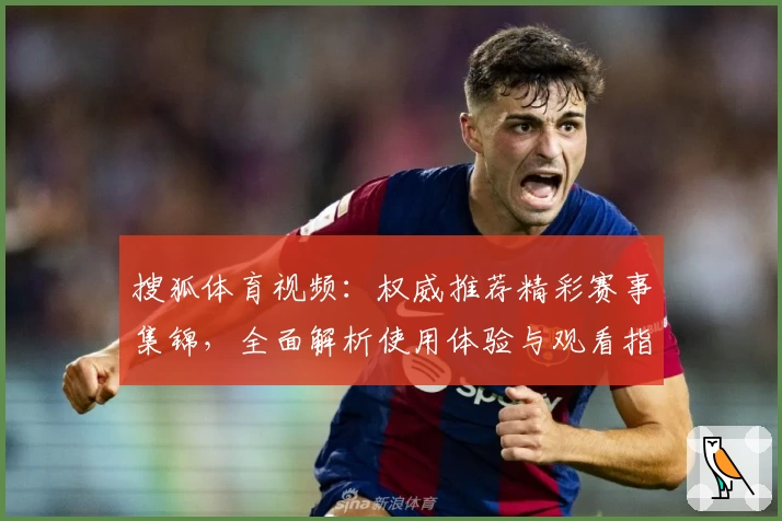 搜狐体育视频：权威推荐精彩赛事集锦，全面解析使用体验与观看指南助手