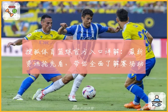 搜狐体育篮球官方入口详解：最新资讯抢先看，带你全面了解赛场动态