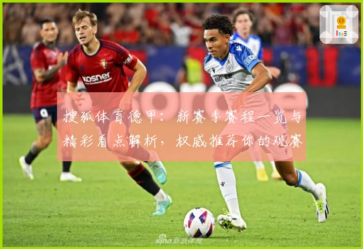 搜狐体育德甲：新赛季赛程一览与精彩看点解析，权威推荐你的观赛指南