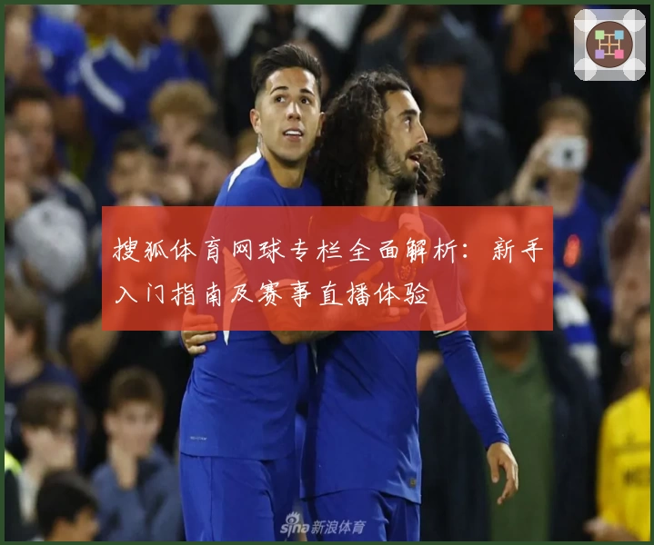 搜狐体育网球专栏全面解析：新手入门指南及赛事直播体验